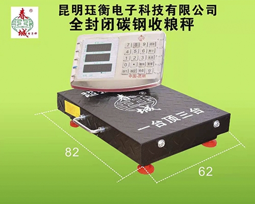 西雙版納全封閉碳鋼收糧秤