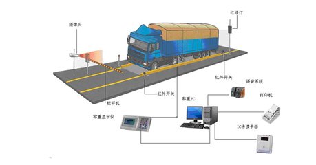 春城電子秤